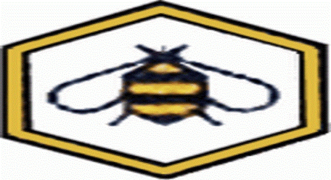 LOGO MONTORIO 88